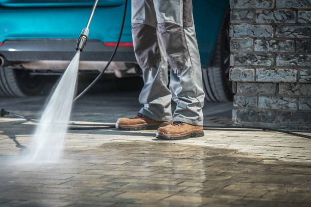 Best Driveway Cleaning and Restoration in Lake Waccamaw, NC